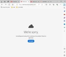 Не знаю что там у Adobe, но их сисадмины с такой же жопой будут, портал не открывается ни у клиентов, ни у поддержки.