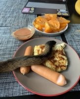 Тю. Для кошатников, шерсть не мусор, а приправа.
