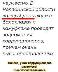 «Зачем граждан-то пугать?»: в Челябинске безбилетников стали ловить дружинники в камуфляже с балаклавами