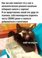 Да каждый ИП-шник всегда платит налоги сам, никто у него ничего не вычитает. И попробуй только не заплати...
