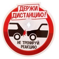 Собака испортила утро сразу нескольким автомобилистам