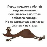 Инженеры и экономисты: каждый третий российский курьер имеет высшее образование