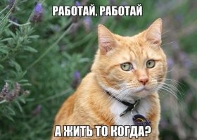 "Когда сразу понял, что работа - г%вно": истории про трудоустройство, которые случались с каждым из нас