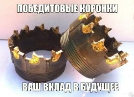 Взгляните, как женщина перегрызает защитный трос и крадет iPhone 14 Plus