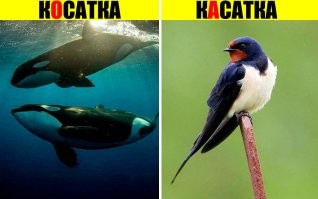 Немножко позанудствую