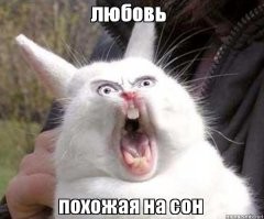 Продолжаем барражировать соцсети