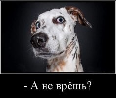 Девушка сдает в аренду вторую половину собственной кровати