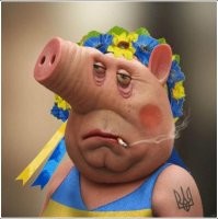 «Вы вообще в своём уме?»: иностранец попытался объяснить украинке основы русского языка