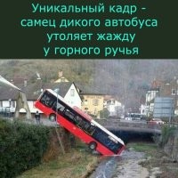 25 аварий и казусов, которые влетели в копеечку 