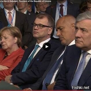 - Бабушка, ты спишь?
- Не сплю.
- Бабушка, дай денежек.
- Сплю, сплю...
Это реально Меркель на встрече с руководителями беднейших стран Европы, которые реально просили там у неё денег.