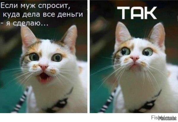 Мастерски ушёл от ответа