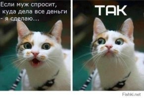 Мастерски ушёл от ответа