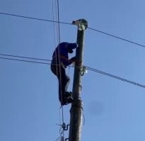 Прямо загадка из детского журнала:
"На фото три кошки. Найди их."