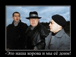 Русский мат и башкирская смелость спасли корову от медведя