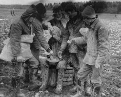 Да?  Гламурненько...
Ну так вот это - тоже на картошке! 
1971, совхоз Сельцо Волосовского р-на Лен. области.