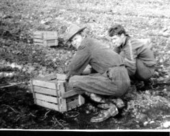 Да?  Гламурненько...
Ну так вот это - тоже на картошке! 
1971, совхоз Сельцо Волосовского р-на Лен. области.