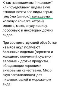 Крупная сельдевая акула застряла на&nbsp;мелководье в&nbsp;Аянской бухте Хабаровского края