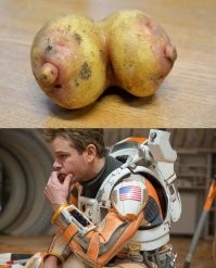 На картошке: пост про процесс, который знаком каждому