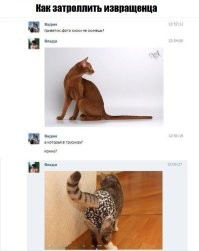 Скрины из соцсетей&nbsp;