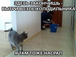 Скрины из соцсетей&nbsp;