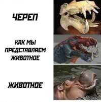11 мифических существ, у которых есть реальные прототипы