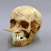 11 мифических существ, у которых есть реальные прототипы