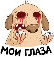 15 курьезных моментов, которые произошли на пляже
