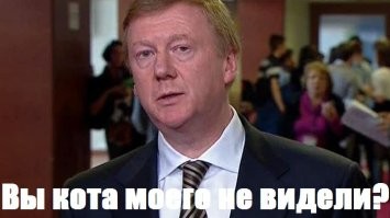 Рейдерский захват будки пса