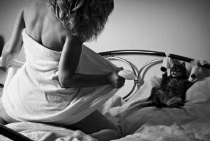 теперь кот отдувается