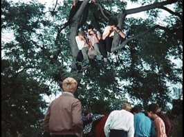 Не ищите здесь смысл. Здесь в основном маразм