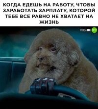 От куда у вас моя фотография?