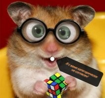 В Таиланде задержали бойца UFC Хусейна Асхабова и его брата