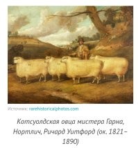 Аааа... Яснопонятно...
А здесь почему не стали фотографировать?