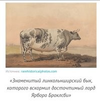 Аааа... Яснопонятно...
А здесь почему не стали фотографировать?