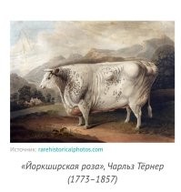 Аааа... Яснопонятно...
А здесь почему не стали фотографировать?
