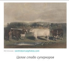Аааа... Яснопонятно...
А здесь почему не стали фотографировать?