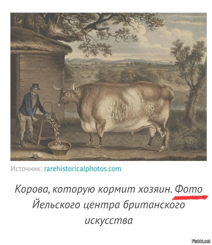 Прямоугольные коровы: геометрический домашний скот на британских картинах XIX века