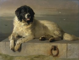 Подозреваю, что фермеры просили, то им и рисовали. Вот, к примеру полотно тех же лет работы знаменитого Эдвина Ландсира. Куда ещё реалистичнее?

К слову, если кто не знает, картина называется "Достойный член гуманного общества", а изображён на ней ньюфаундленд Боб,  на счету которого 23 спасённые жизни. Позже ньюфов в таком окрасе стали называть "ландсирами".