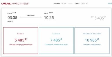 Пассажирский самолёт Сочи-Омск экстренно сел на грунт неподалёку от Новосибирска