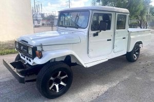 Пусть лучше Toyota Bandeirante запустят. Простая, как грабли, такая же и надёжная.