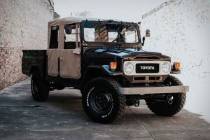Пусть лучше Toyota Bandeirante запустят. Простая, как грабли, такая же и надёжная.