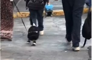 А что не так?