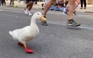 А что не так?