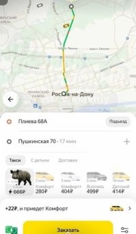 Дикие кабаны в Ростове-на-Дону забежали на детскую площадку, а потом принялись громить город