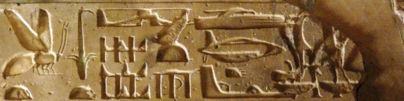 Да-да,  но у нас тут не 18 век на дворе. Есть куча лабораторий и методов диагностики.  пускай  хот один образец предоставят на независимую экспертизу и я с радостью посмотрю на  результаты, которые с вероятностью  99, 99% укажут на то что эта лепнина, жутко хренового качества самоделка местного городского сумасшедшего.
И да, как человек разумный, не могу утверждать на 100%, так что оставляю шанс, что  это действительно останки внеземной разумной формы жизни.. но вероятность такого варианта - стремиться к нулю.

Опять таки, серьёзные учёные, делают серьёзные заявления, только после того как у них на руках есть куча тестов, проб. анализов и крепкая доказательная база.. что вот  это вот вид ромашек,  это конкретно данный подвид, а не его дальний родственник с другого континента..  Даже в таких мелочах, в какой-нить ботанике, археологии, астрономии итд - люд к любому открытию готовят доказательную базу и заручаются авторитетными подтверждениями зарубежными коллегами по цеху. И то, порой бывает что они ошиблись, не учтя какую0то мелочь.  А тут выкатили несколько кукол из папье-маше - Нате, у нас тут целые инопланетяне, инфа 100%, вот вам крест.

Хотя, такое не первый раз происходит, и явно не последний. Все эти "сенсации" без серьёзного исследования - яйца выеденного не стоят.