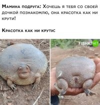 Комментарии и картинки из соцсетей. Свежак за 14 сентября