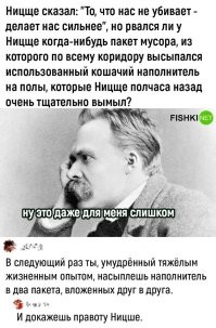 Правоту Ницше нельзя доказать. Он в итоге е.б.а.н.у.л.с.я. Сама Природа доказала, что он неправ.