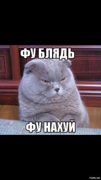 Ох и рожа