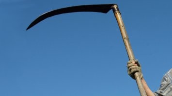 Вот же литовка