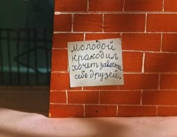 Крупный аллигатор устремился в сторону девочек-скаутов